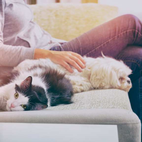 woman with her pets