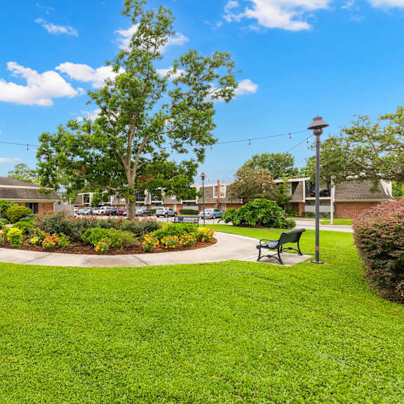 a park with a grassy area, a bench, and a tree.