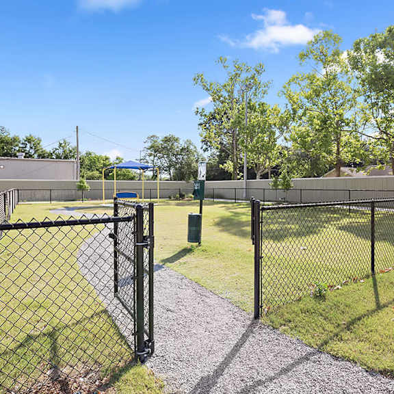 dog park