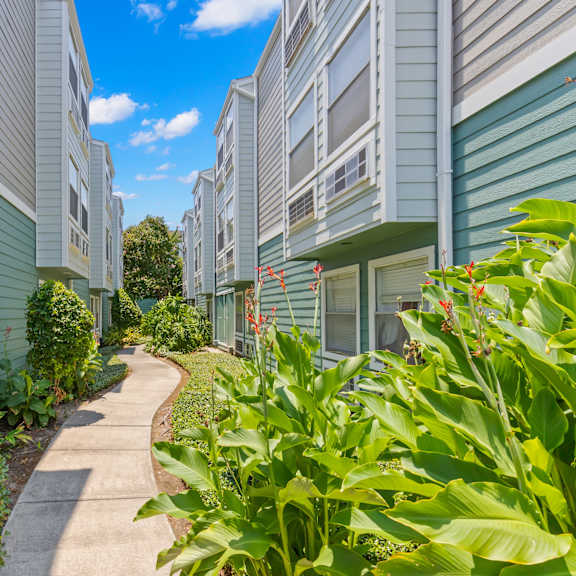 a row of houses with green plants in front.