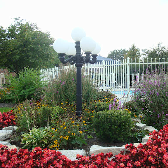 windsor court pool