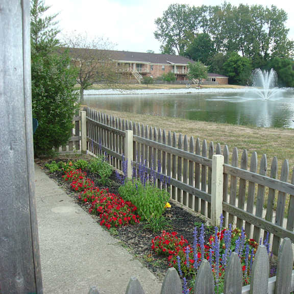 windsor court patio