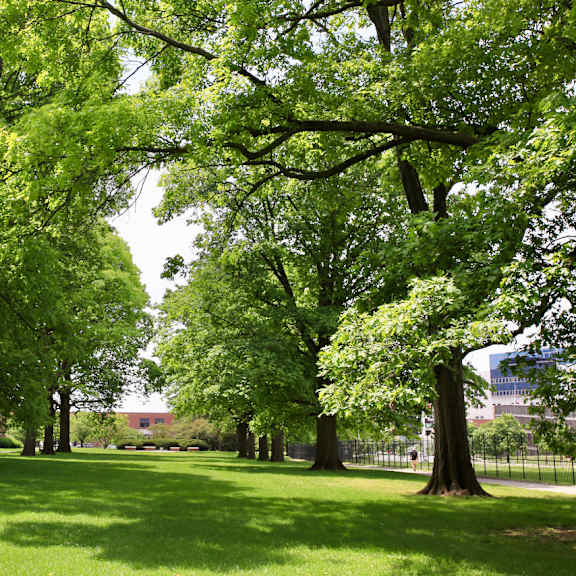 lockefield gardens historic park
