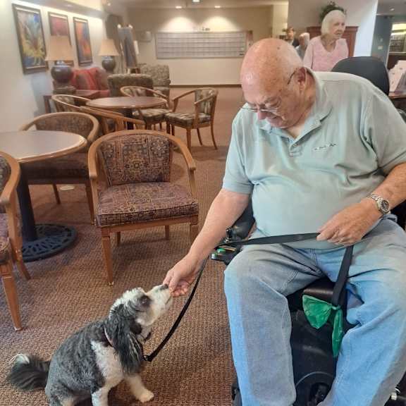a man in a green shirt is petting a small dog on a leash.