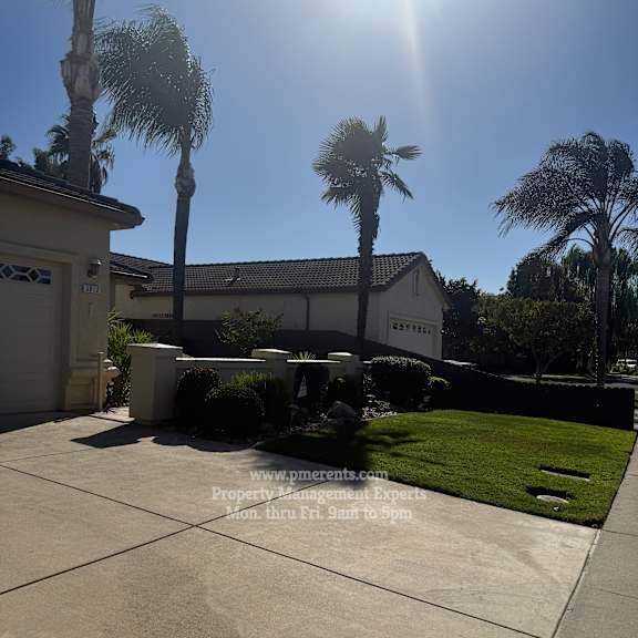a sunny day with palm trees and a house in the background.