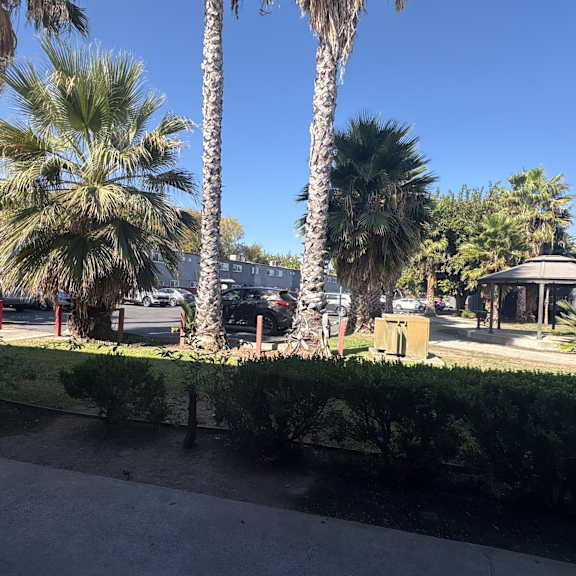 a view of a street with palm trees and a building in the background.