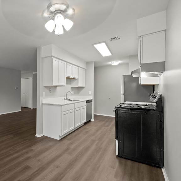 a kitchen area with a sink, cabinets, and a dishwasher.