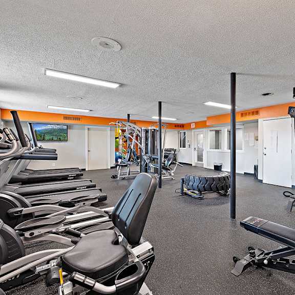 a gym with a variety of equipment including weights and treadmills.