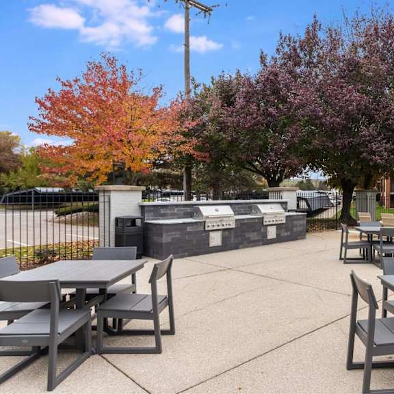a park with tables and chairs surrounded by trees.
