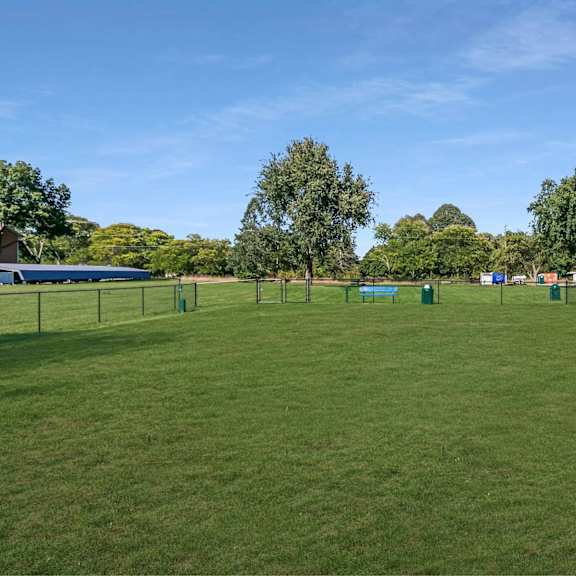a grassy field with trees and a fence in the distance.