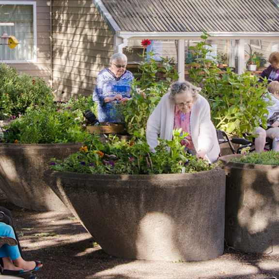 shady lanes senior living