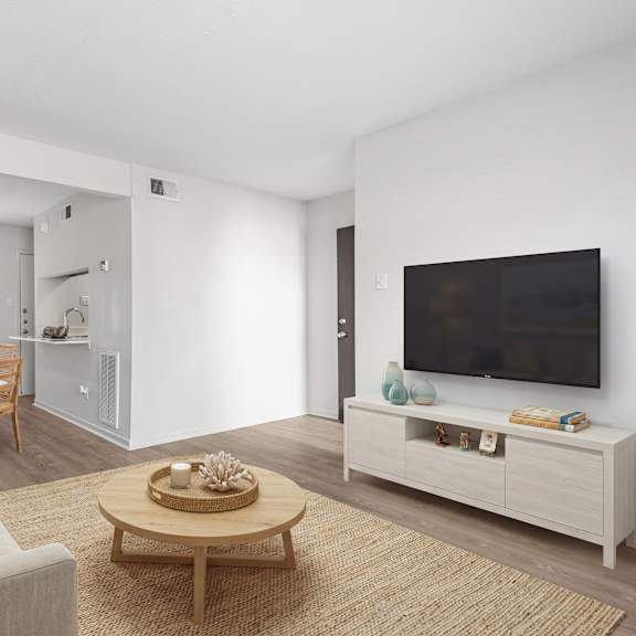 a living room with a couch, a coffee table, and a television.