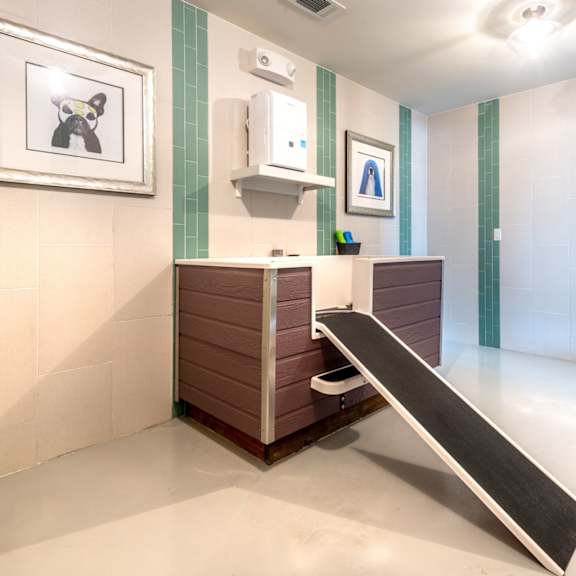 a bathroom with a toilet and a sink.