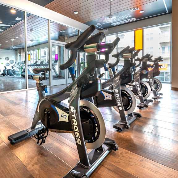 a gym with a row of stationary bikes.