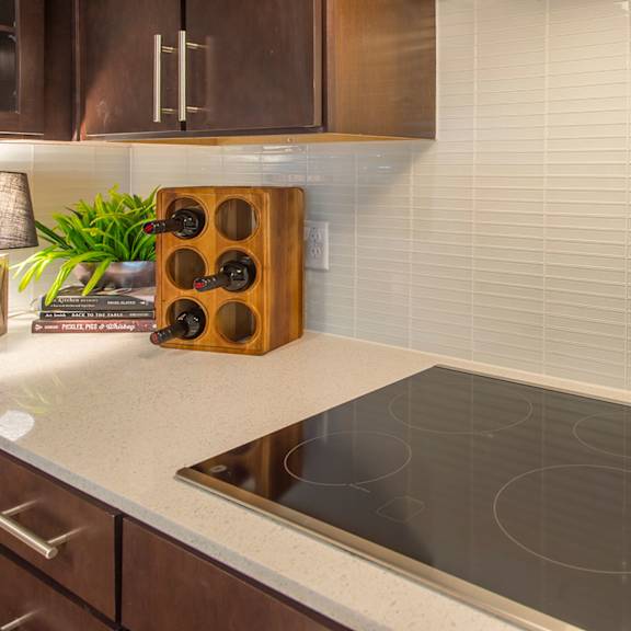 dishwasher at revl heights, the barvin group, texas, 77009