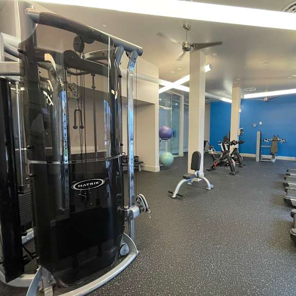 a gym with a variety of equipment including treadmills, weights, and a fan.