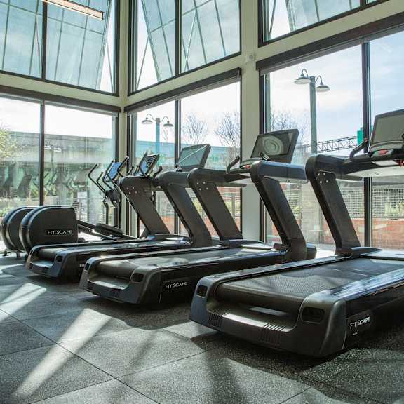 a row of treadmills are lined up in a gym with a view of the outside.