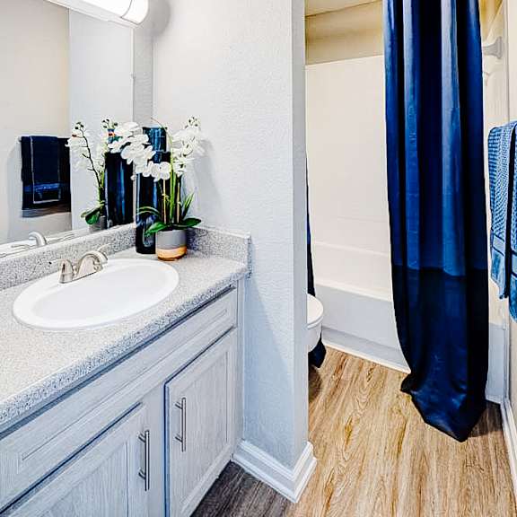 a bathroom with a sink, mirror, and shower.
