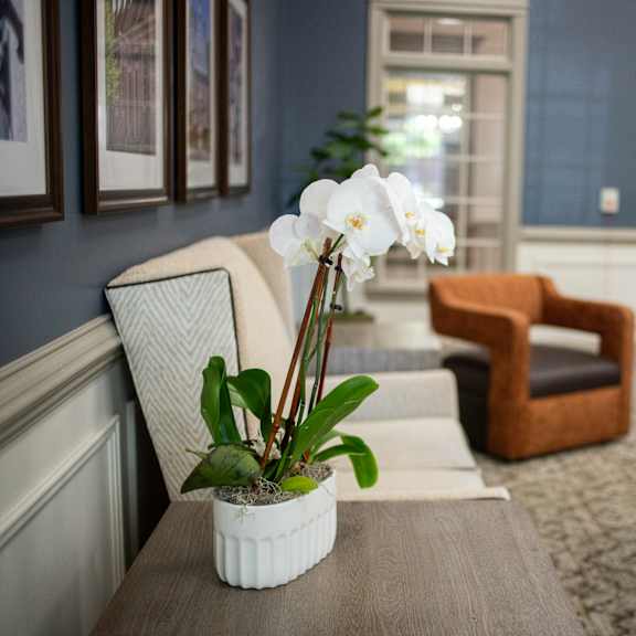 a white vase with flowers sits on a table in a room with blue walls.at spring arbor of williamsburg in williamsburg, va