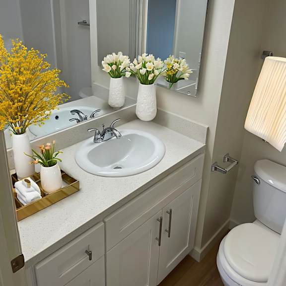 a bathroom with a sink, mirror, and toilet.