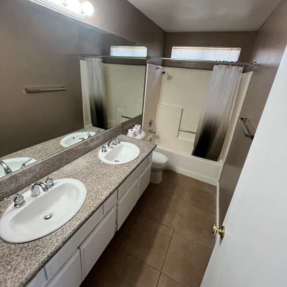 a bathroom with a mirror, sink, and a shower.