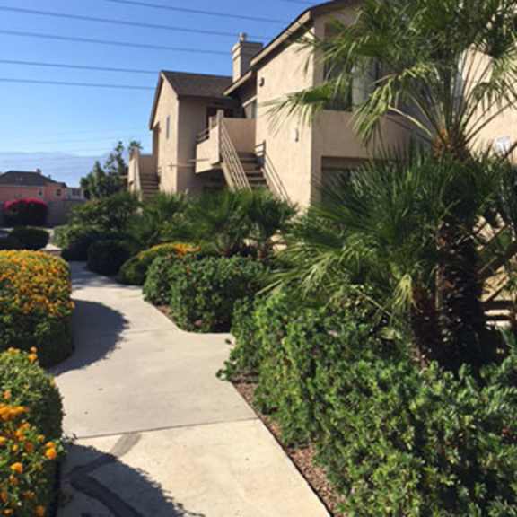 village drive