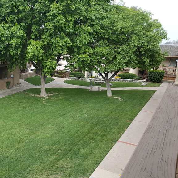 grass area