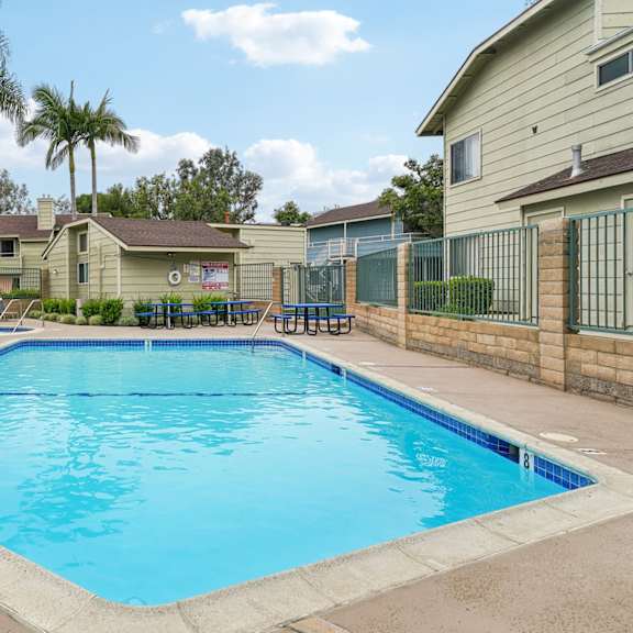 our resort style swimming pool is next to our apartments and has palm trees
