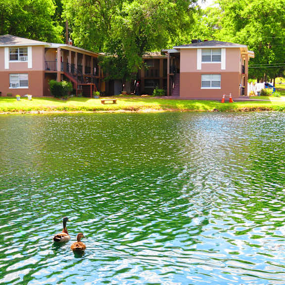 lake view at golden shores of jacksonville jacksonville, fl, 32211