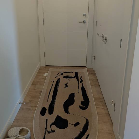 a hallway with a rug and a pair of shoes on the floor.