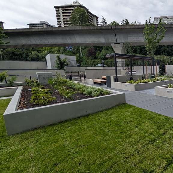 a modern garden with concrete planters and a concrete walkway.