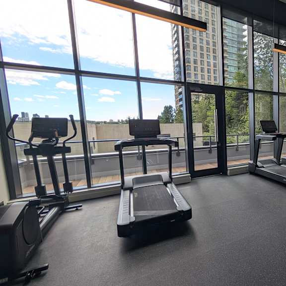 a gym with treadmills, weights and exercise equipment.