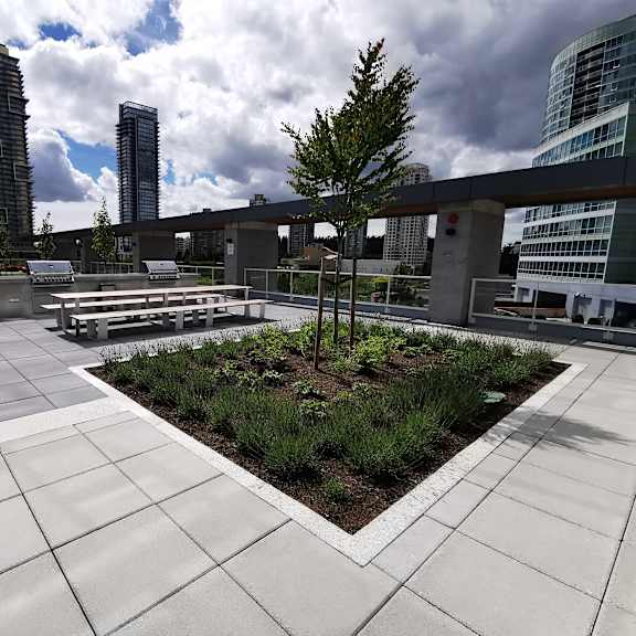 a rooftop garden with a variety of plants and trees.