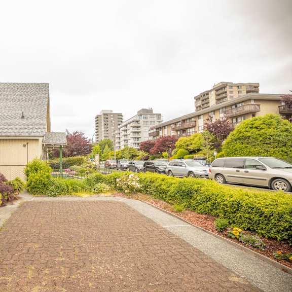 bay court apartments