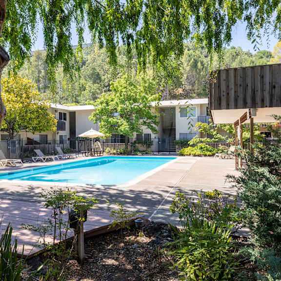 a swimming pool surrounded by trees and plants.