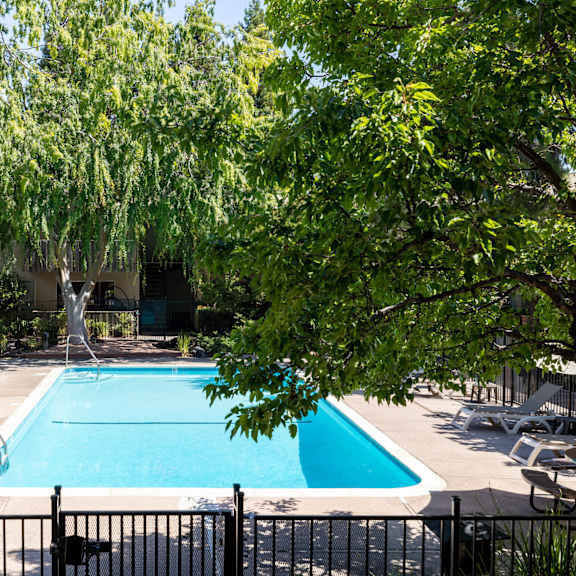 a pool surrounded by trees and a fence.