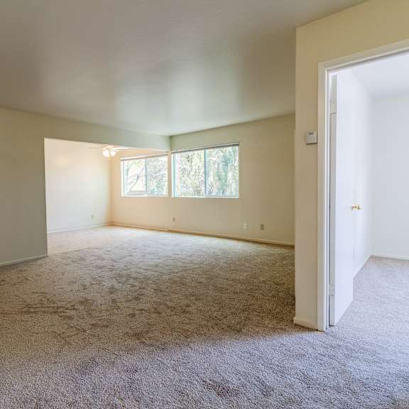 a room with a carpeted floor and a window with blinds.