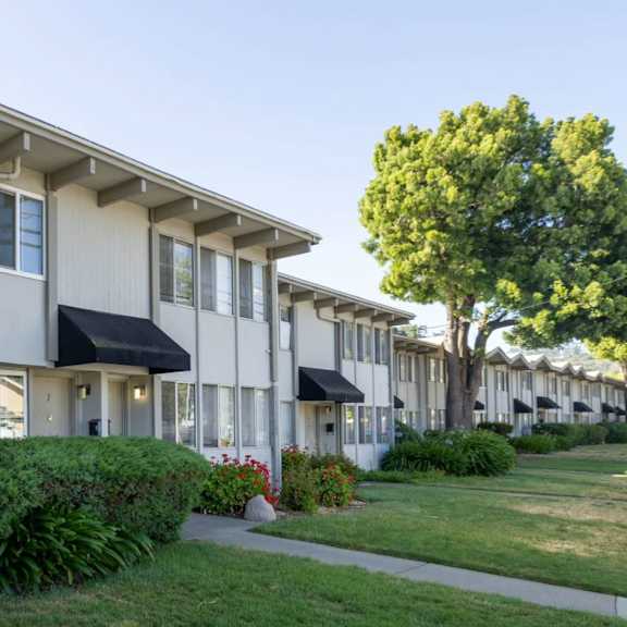 lush green outdoors at terra linda manor, san rafael
