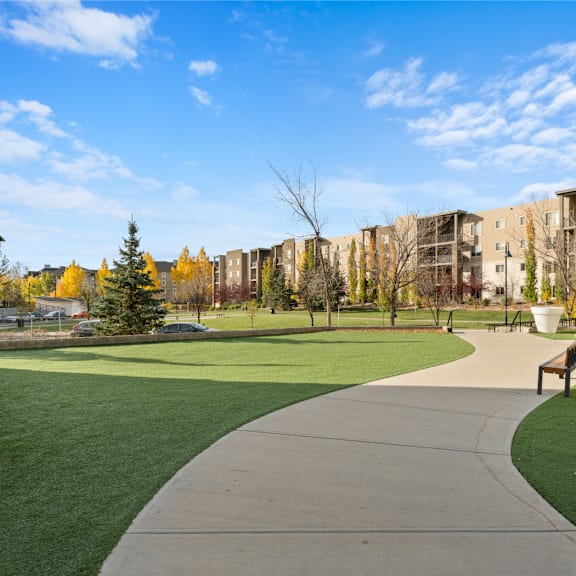 a park with green grass and buildings in the background
