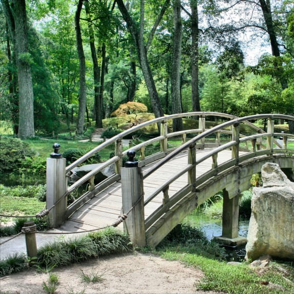 garden area