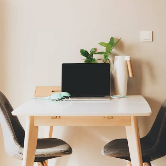 a laptop is on a desk with a plant beside it.