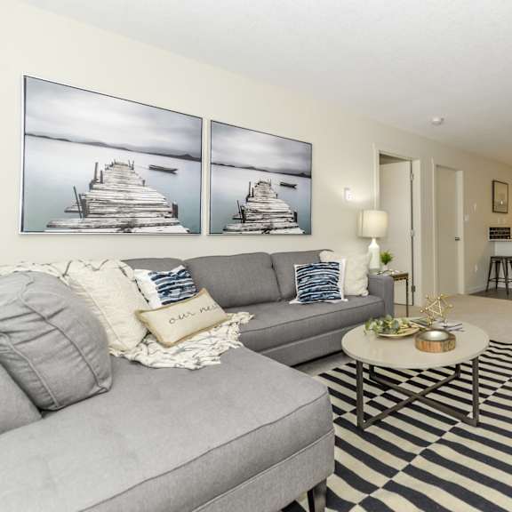 a living room with a grey couch, a coffee table, and a striped rug.