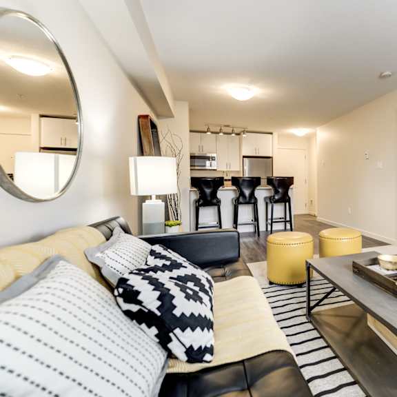 a modern living room with a black and white color scheme.