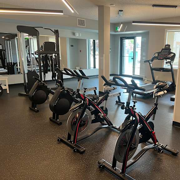 a gym with a row of stationary bikes and a row of treadmills.