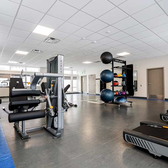 a gym with treadmills, weights and exercise equipment.