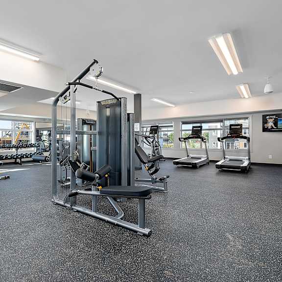 a gym with weights and other exercise equipment in a large room with windows