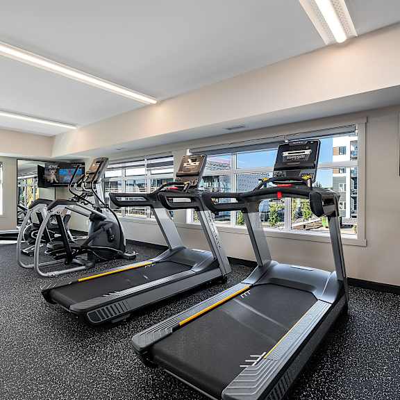 two treadmills and other exercise equipment in an exercise room with windows
