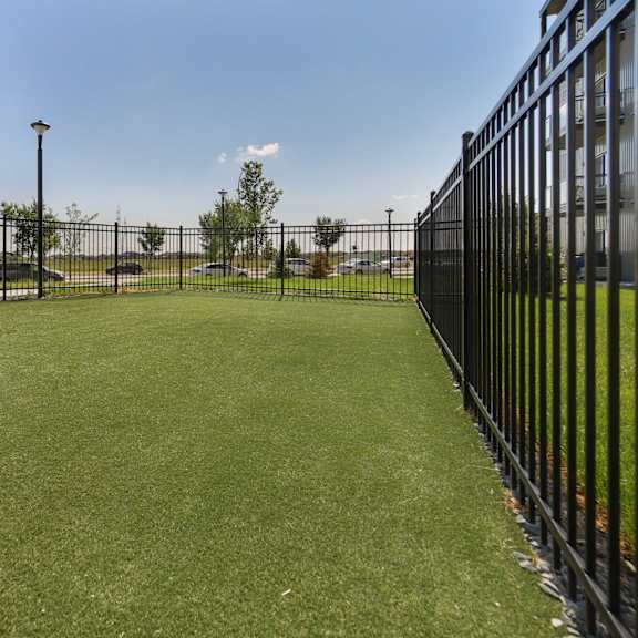 a black fence surrounds a green field.