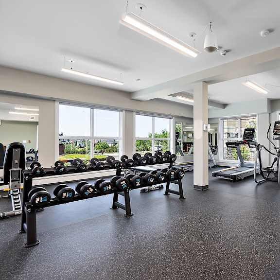 a gym with a variety of equipment including treadmills, weights, and exercise bikes.