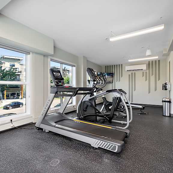 a treadmill and a stationary bike are in a well-lit room with a view of the outside.